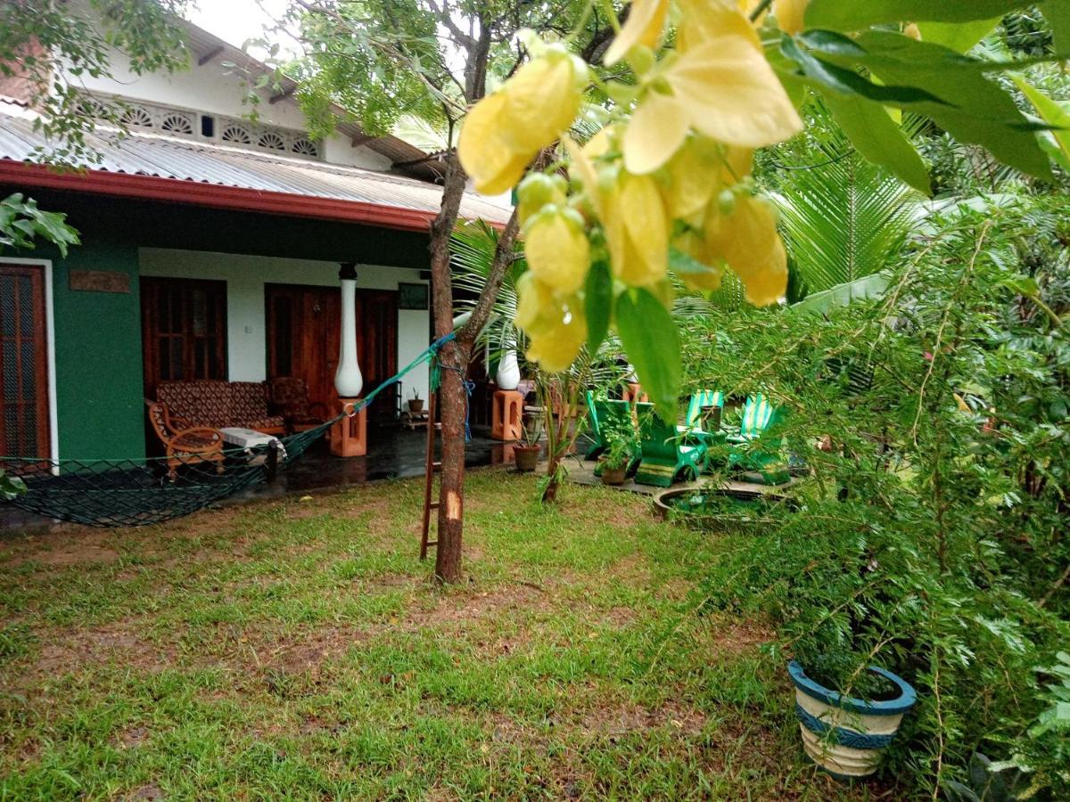 Sigiriya Village Home Stay Luaran gambar