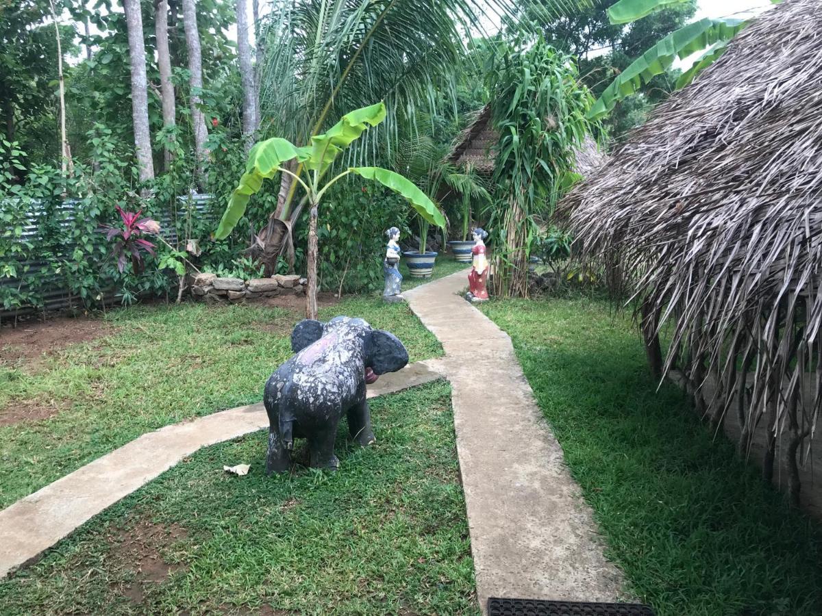 Sigiriya Village Home Stay Luaran gambar