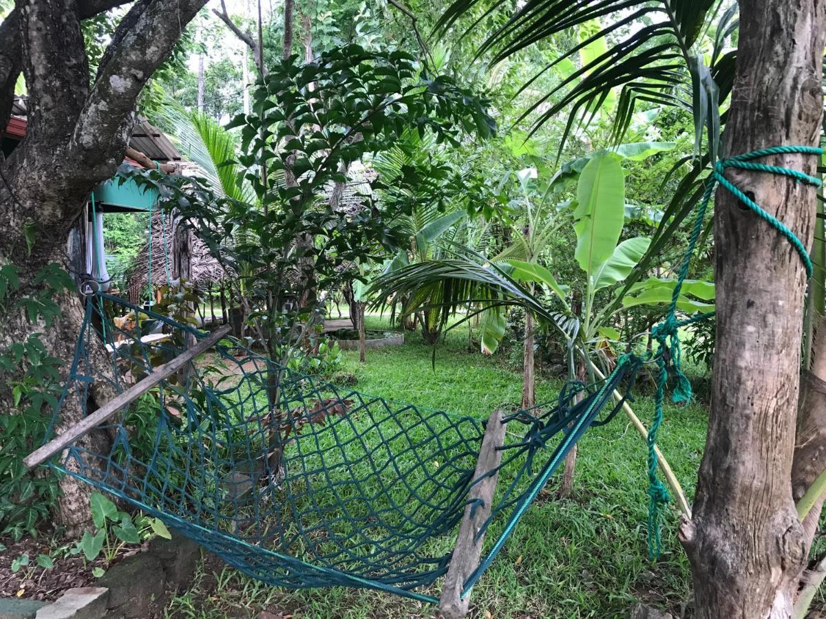 Sigiriya Village Home Stay Luaran gambar