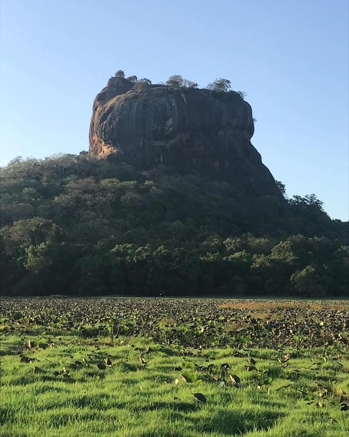 Sigiriya Village Home Stay Luaran gambar