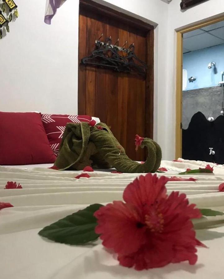 Sigiriya Village Home Stay Luaran gambar