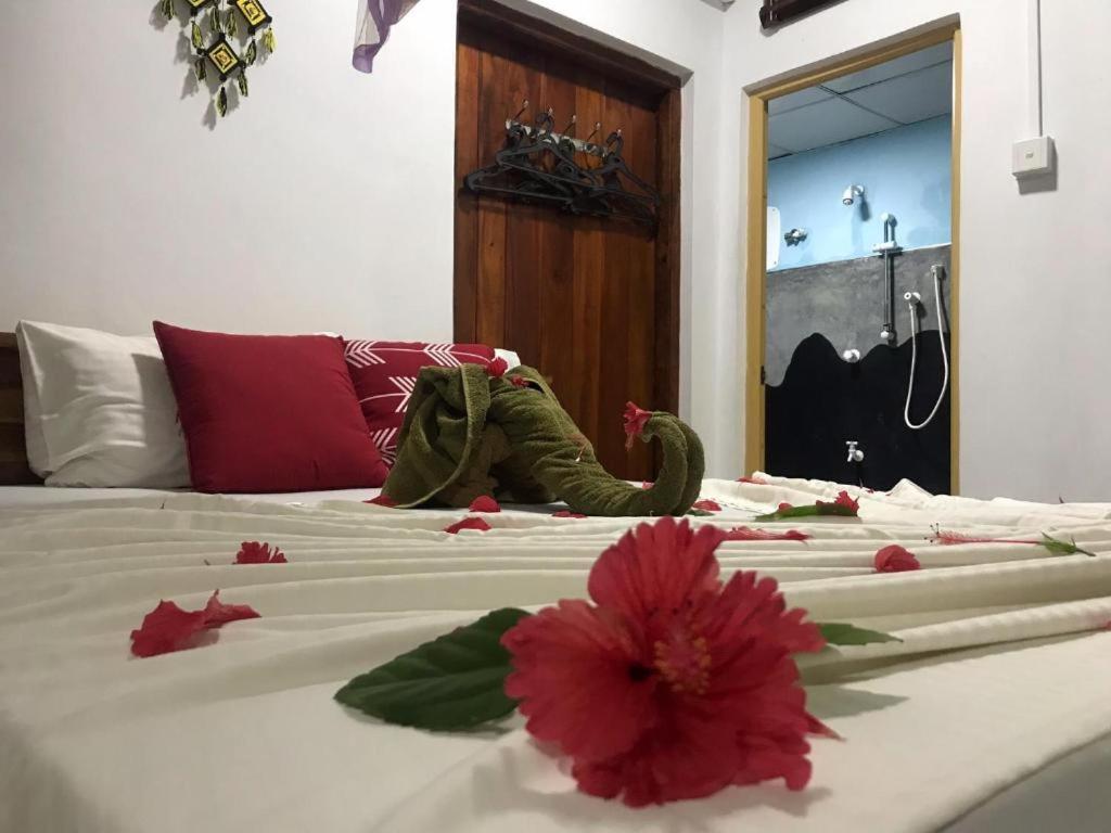 Sigiriya Village Home Stay Luaran gambar